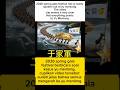 media dan acara tahun baru di  China menyinggung kasus yu Menlong.#fyp#yumenglong#masukberanda
