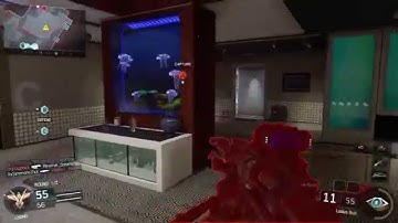 BO3: First Quad Feed On Screen - Locus