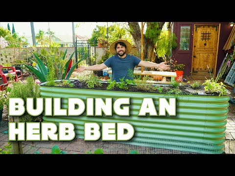 Rebuilding My Kitchen Herb Bed!