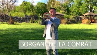 BORGANI DE LA COMRAT (соло на трубі)