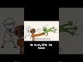 Scientists Blast Lizards With Wind to Unlock #psycholgyfacts #brainlearning #motivation #animation