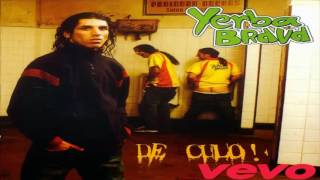 Video thumbnail of "1)Naty boom boom-Yerba Brava (De culo)"