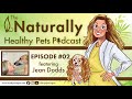 Comparative medicine humans  dogs  nhp podcast ep 2  dr judy morgan  dr jean dodds