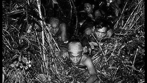 “Đặc Công Việt Nam: Thoát Vòng Vây Quân Pol Pot Trong Rừng Đêm”