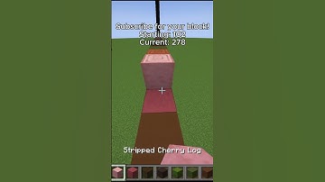 Blocks Per Subscriber Day 19 #shorts