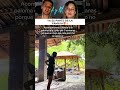 Cuidé a esta paloma por 3 semanas para liberarla pero se niega a irse