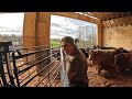 First Set Of Vaccines In The New Barn! 