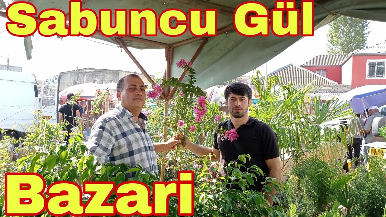 Sabuncu Gül Bazari 14 08 2022