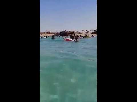 فيديو شاطئ علم الروم صفاء نقاء مياة روعة