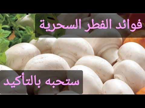 فوائد الفطر العظيمة/لن تستغني عنه بعد ان تشاهد الفيديو وتكتشف أسراره