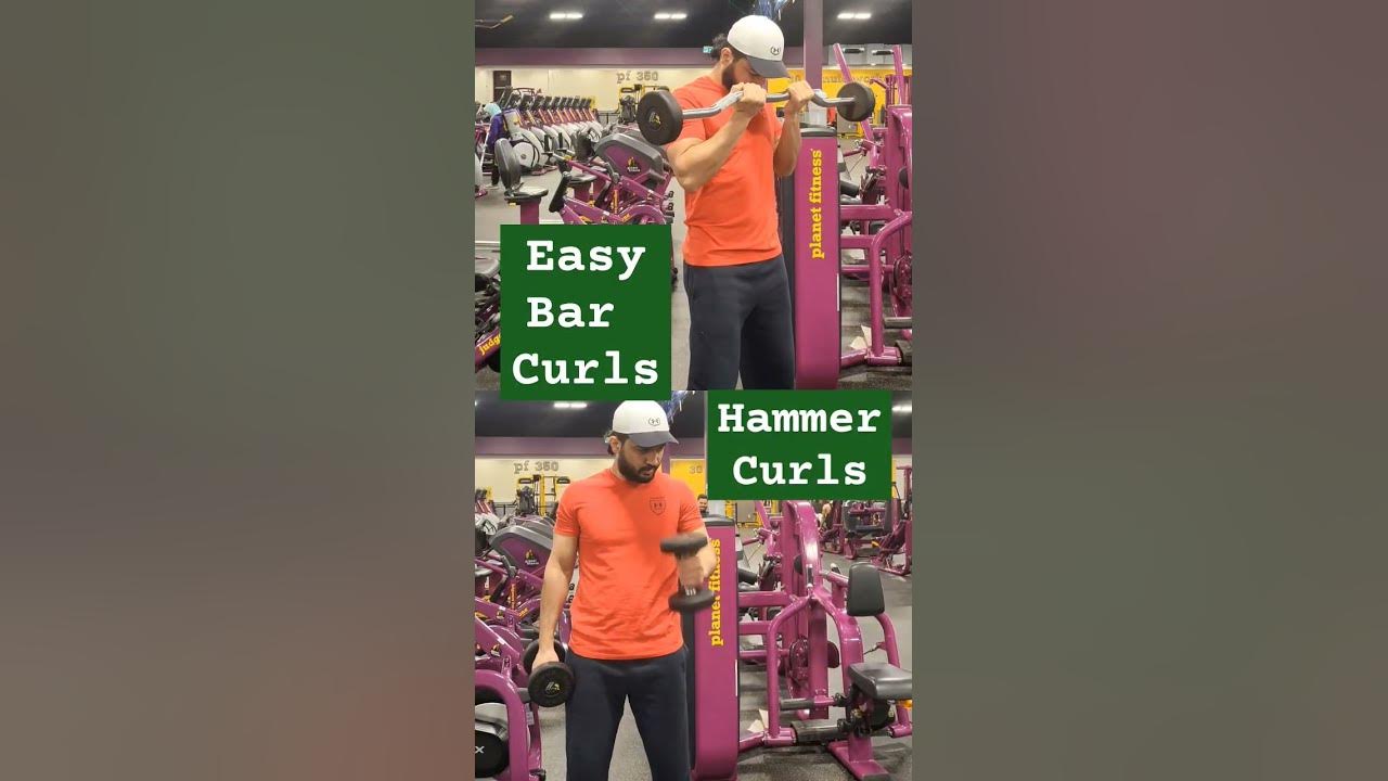 Dumbbell standing hammer curls x easy bar curls arms day muscle