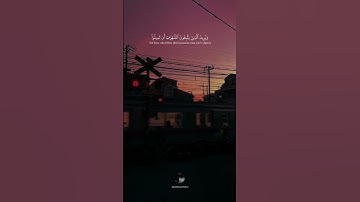 { وَٱللَّهُ يُرِيدُ أَن يَتُوبَ عَلَيۡكُمۡ } || بصوت القارئ مؤيد المزين || سورة النساء || حالات قران