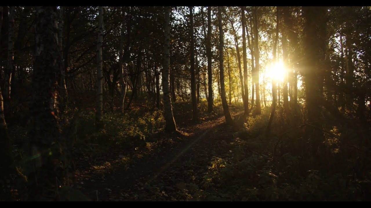 Zrzuć na mnie troski swe