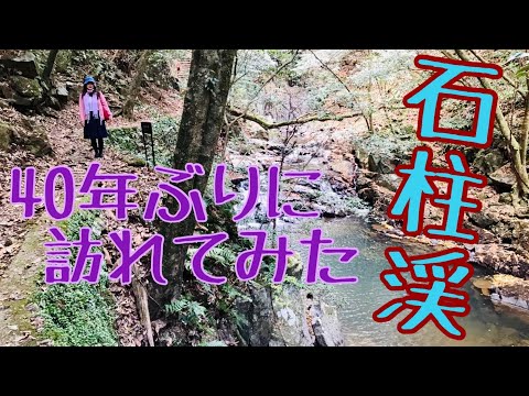 【観光動画】石柱渓【下関市豊田町観光名所】
