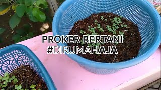 Siapa Jahil Murakkab ? Makin Parah Saja Dr Arrozi Hasyim