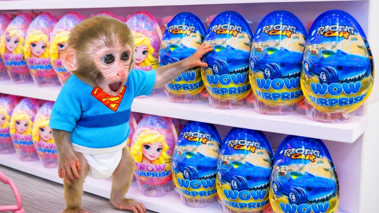 Affe JoJo entdeckt viele geheimnisvolle Spielzeug-Überraschungseier! | JoJo und Freunden