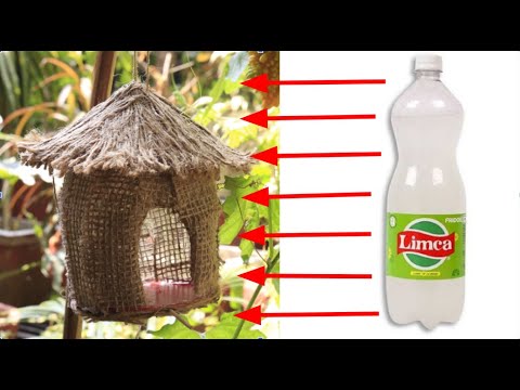 Bird House from Plastic Bottle | Garden Decoration Idea | Best out of Waste