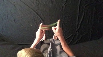 1A #11 Cold Fusion: YoYo Sport Ladder Competition