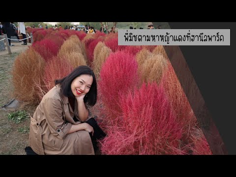 พี่มิชพาเที่ยวทุ่งหญ้าสีสวย ที่ฮานึล พาร์ค SEOUL : HANUEL PARK 하늘 공원