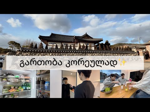 VLOG | გართობა კორეულად✨