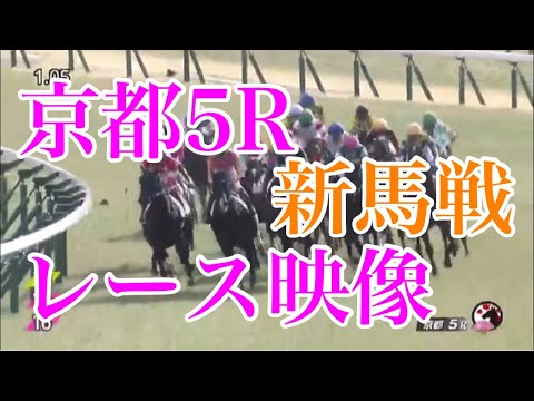 2/4 京都5R 新馬戦 レース映像