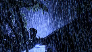You Will Go to Sleep Within 3 Minutes with Sound Rain & Thunderstorm Sounds on a Metal Roof at Night