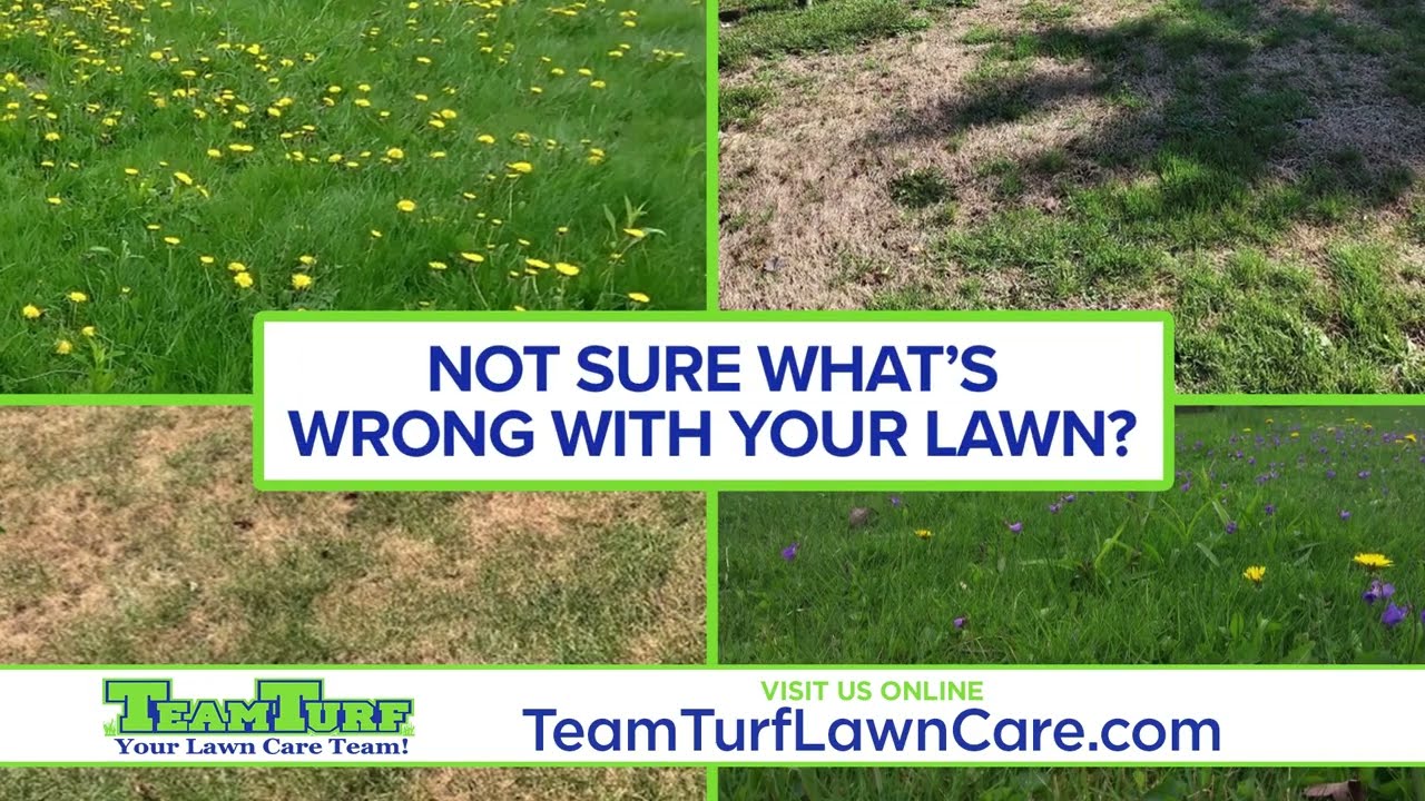 Commercial Spring '22