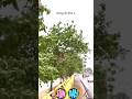 Barish #shorts #rimjhim #gorakhpur #uttarpradesh #viral #बारिश #गोरखपुर #routecapturevlogs