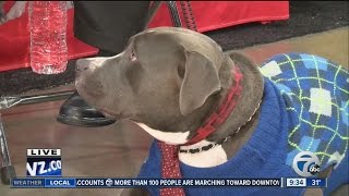 7 Action News This Morning Saturday 9am