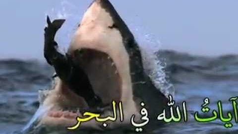 سورة النحل آية 14 سبحان الله ( تدبر وتفكر ) 👍