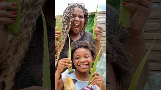 Rotina capilar no cabelo crespo da minha sobrinha #rotinacapilar #cabelocrespo #vlog
