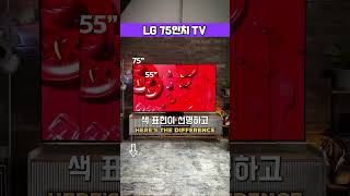 LG 75인치 TV 이 가격에 이 화질? 진짜 가성비 끝판왕입니다!