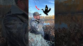  Correct Answers In The Comments ducks