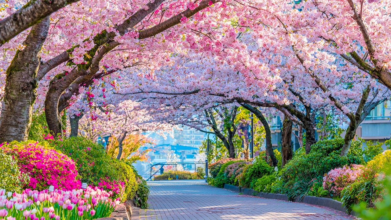 Music Therapy 🌿Soothes The Nervous System And Refreshes The Soul, Relaxing