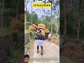 เอาแบบนี้เลย#shorts #farming #automobile #construction #bulldozerofficial #excavator #viralvideo #รถ