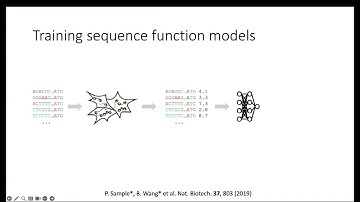14. Georg Seelig: Machine-learning guided sequence design for mRNA and gene therapy