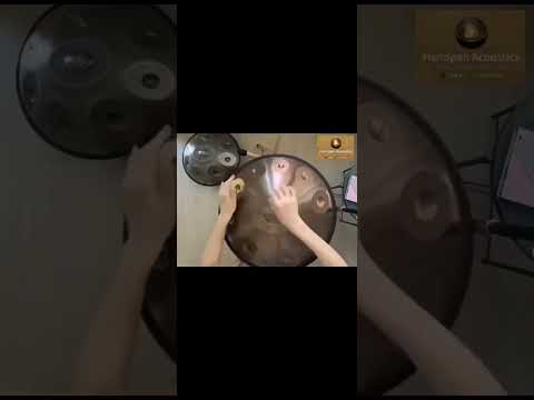 Stop Buying Blindly! Watch This Before You Get Your First Handpan D Minor