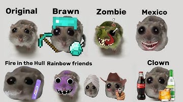Sad Hamster Everytime with more random