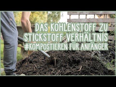 Das Kohlenstoff zu Stickstoff Verhältnis 👍 Kompostieren für Anfänger #C:N #kompostieren #Kompost