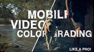 Color GRADE videos in mobile like a PRO! with this 1 app!