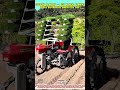 Seedling Planting — best manual farming broke before this innovative shift