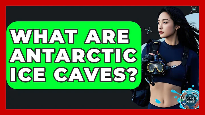 What Are Antarctic Ice Caves? - The Marine Life Explorer