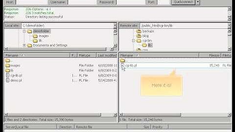 Managing files and directories via FileZilla FTP