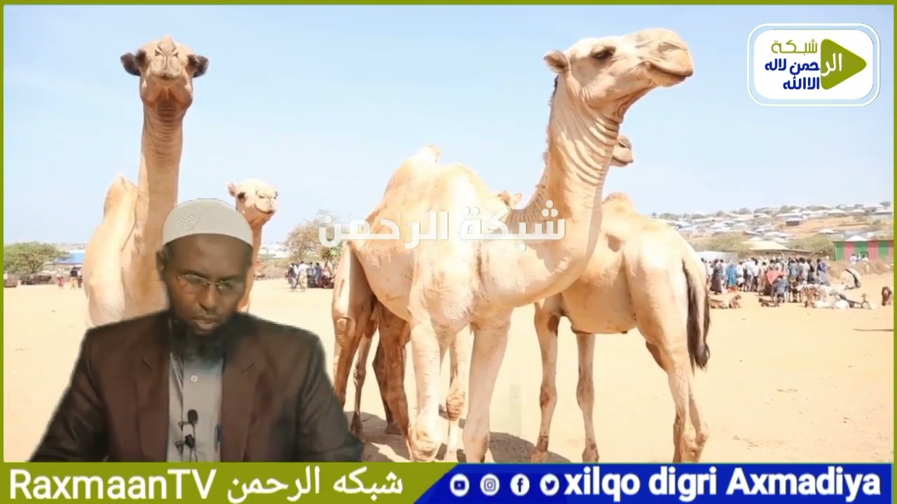 Udxiya: Qof Geeriyooday malaga bixin karaa? Xoola noocee ah ayay  ku ansaxee udxiyada? Sifaaf walaal