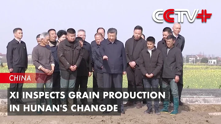 Xi Inspects Grain Production in Hunan's Changde - DayDayNews
