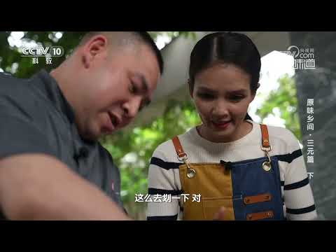 山海食材齐助力 成就八宝甲鱼的好滋味《味道》20231224 | 美食中国 Tasty China