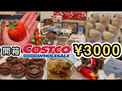 【Costco開箱】豪花近¥3000👊好物／中伏話你知👊食物➕日用品➕貓物👊劣質雞想回水😖好市多｜深圳Costco｜Costco必買｜Costco交通｜口岸｜旅行團｜會員開戶