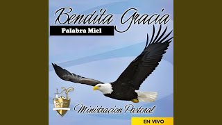 Video thumbnail of "Palabra Miel - Bendito Sea Gran Señor (En Vivo)"