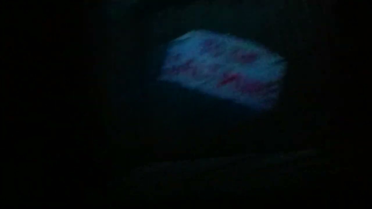 東京ディズニーランド ピノキオの冒険旅行