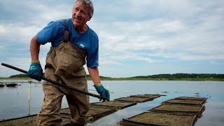 Profile of a clammer | The Issue of Food